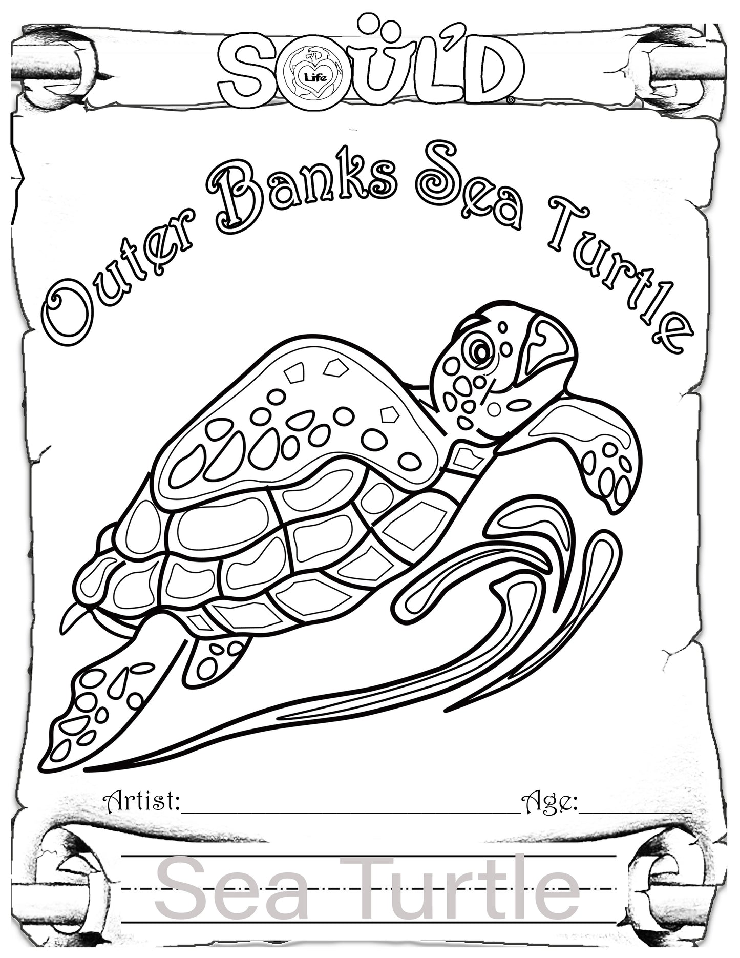 Kids Sea Turtle Coloring Page