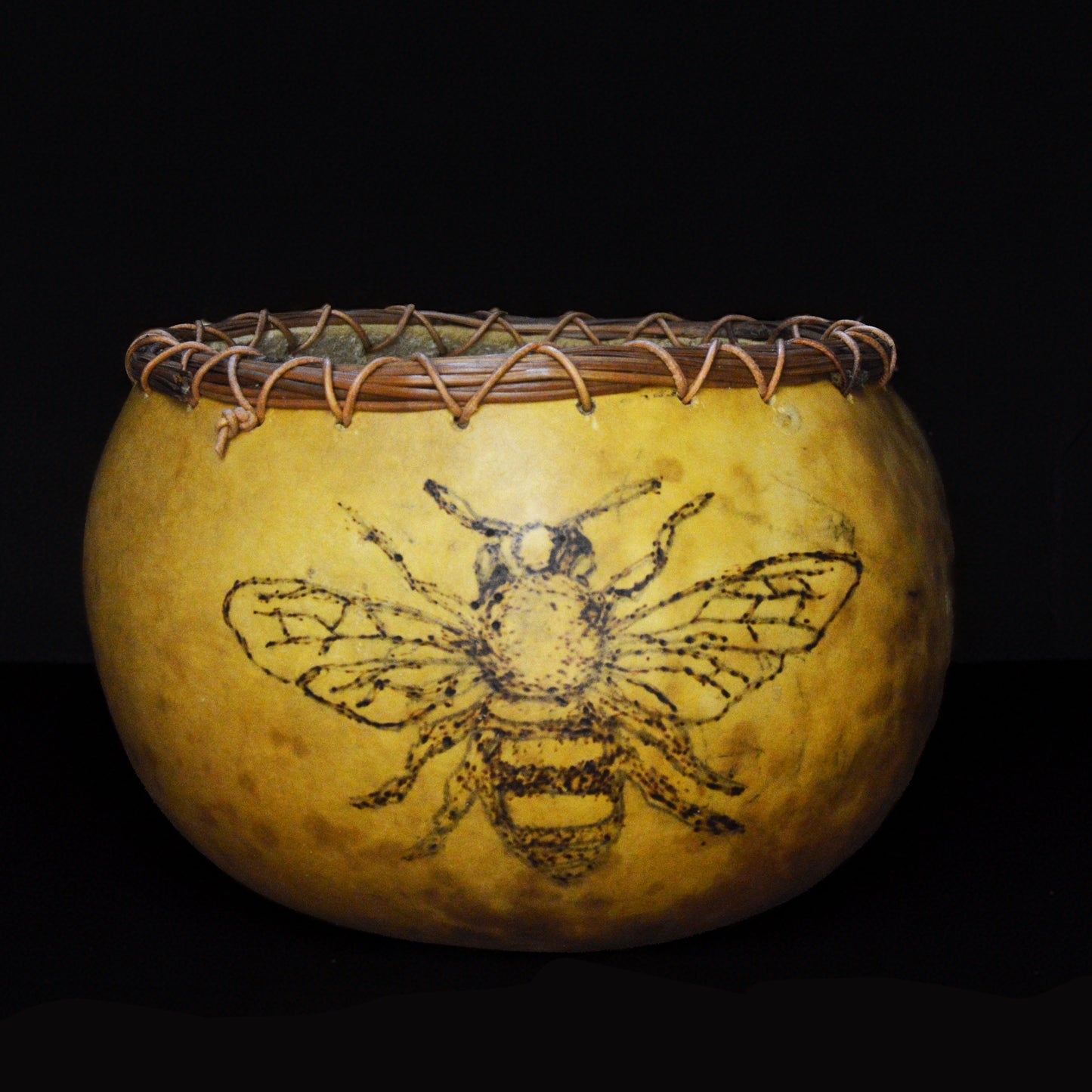 Bumble Bee Wood Burned Gourd-Cindy Rich